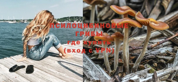 тгк Аркадак