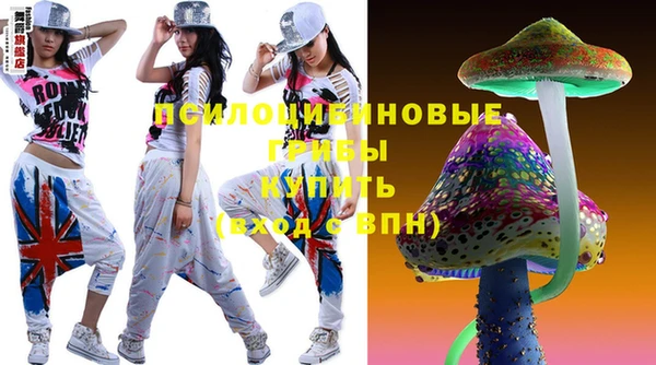 тгк Аркадак