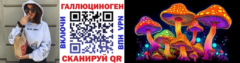 Купить закладки  Сунжа  Галлюциногенные грибы GOLDEN TEACHER 